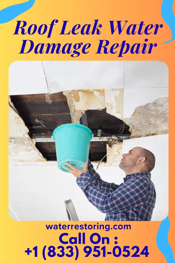Roof Leak Water Damage Repair in Junction, TX