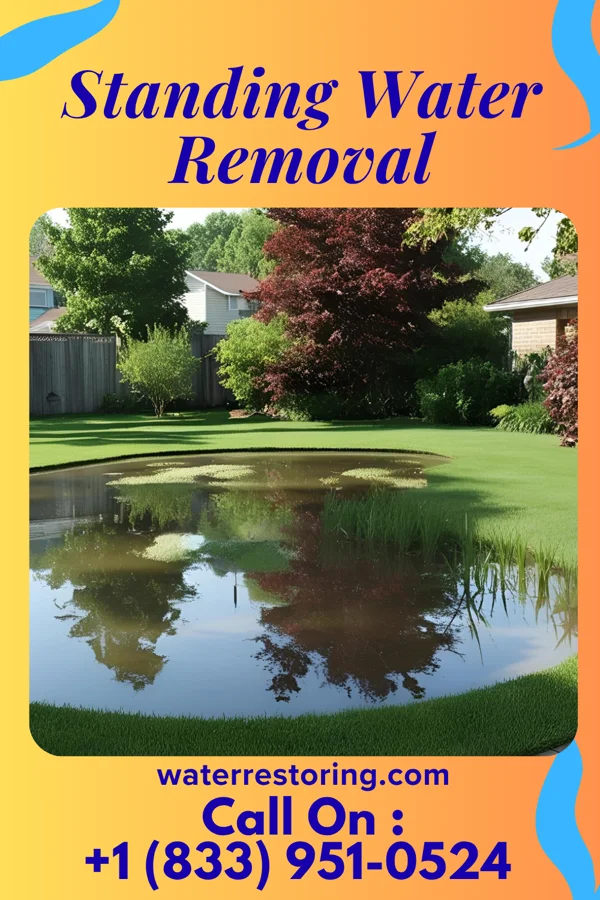 Standing Water Removal in Junction, TX